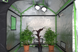 GreenQube Roof 120x240x180 (RQ1224)