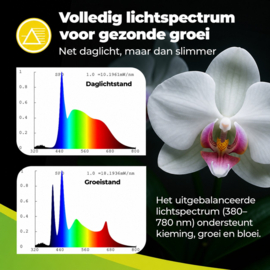 Biogreen LED plantenlamp Leaf 4,8 W dimbaar met timer