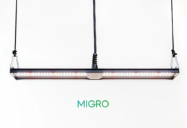 MIGRO ARAY 1 Seedling Grow Light