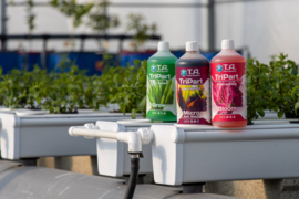 Terra Aquatica TriPart Grow + Bloom + Micro - SW - 1 liter