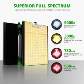 Viparspectra P1000 - 100w - 1006umol/s