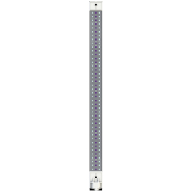 Secret Jardin Cosmorrow® LED 20W 24V L50CM ULTRAVIOLET UV