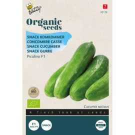 Buzzy Organic Snackkomkommer Picolino F1 (BIO)