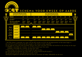 Gout Wortel Groei 1 - 5 liter