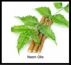 Neem Olie