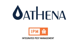 Athena IPM 946ml