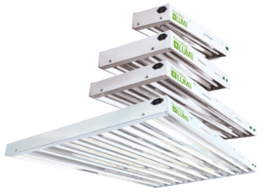 EnviroGro by Lumii T5 incl 4 Lampen 4x 24 watt