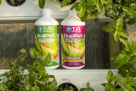 Terra Aquatica DualPart Bloom 500 ml