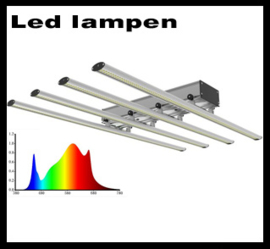 LED lampen