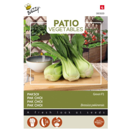 Buzzy Patio Veggies, Pak Choi Green F1