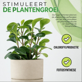 Biogreen LED plantenlamp Florabooster 200 - 60 cm 9 W