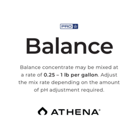 Athena PRO Balance 4.5 kilo