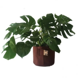Root Pouch Boxer Brown 5 Gallon/22 liter 250gr/m2
