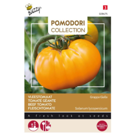 Buzzy Pomodori Vleestomaat Grappa Gialla