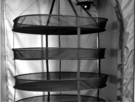 Secret Jardin DryIt 90