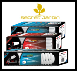 Secret Jardin CFL