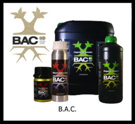 BAC