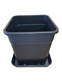 Planten schotel 34cm voor kweekpot tot 25 Liter