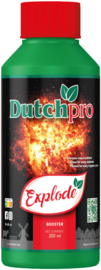 Dutch Pro Explode 250 ml