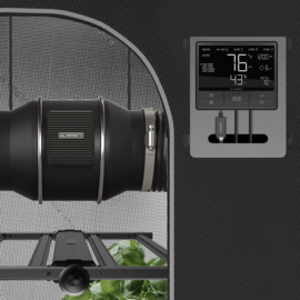 AC INFINITY RJ11/12 UIS adapter Type A