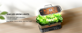 Spider Farmer SmartG12 Hydroponic Gardening System