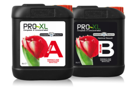 Pro XL Bloom A+B 5L