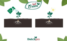 Dutch Pro Leaf Green 5 liter