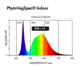 DimLux LED Xtreme Series 1000W