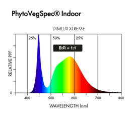 DimLux LED Xtreme Series 500 Watt