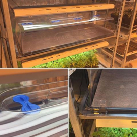 Easy2Propagate voorgroei systeem met 25L FlexiTank