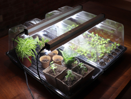 X stream 120 Aeroponic Propagator + Sunblaster LED Kit