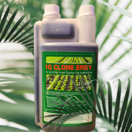 Ion Quest Clone Easy 1 Liter