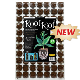 Clonex Root Riot Pluggen 77 Tray - Growth Technology