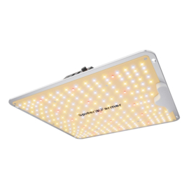 Spider Farmer SF1000 - 100W LED kweeklamp – 2026 model