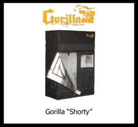 Gorilla "Shorty"