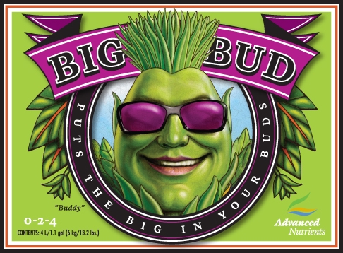 Advanced Nutrients Big Bud Powder 2500 gram