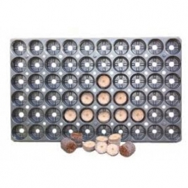 Jiffy stektray tbv 60 st Jiffy geperste 41mm Plug