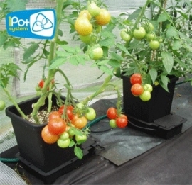 1Pot Systeem 24