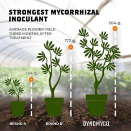 DYNOMYCO Premium Mycorrhizal 100g