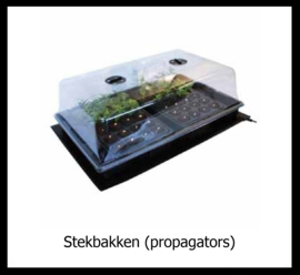 Stekbakken (Propagators)