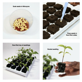 Root Riot Pluggen: De Wetenschap Achter Succesvolle Opkweek