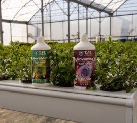 Terra Aquatica Nova Max Grow + Bloom 1 liter