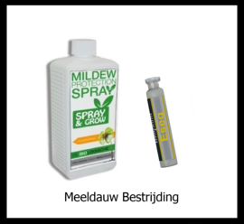 Meeldauw Bestrijding