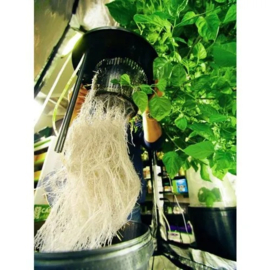 Growrilla Hydroponics  Recirculating Oxy Ring 2