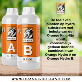 Orange Hydro A 5L