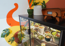 Floracle greenhouse cabinet controller