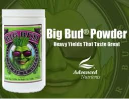 Advanced Nutrients Big Bud Powder 1000 gram