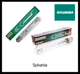 Sylvania Lampen