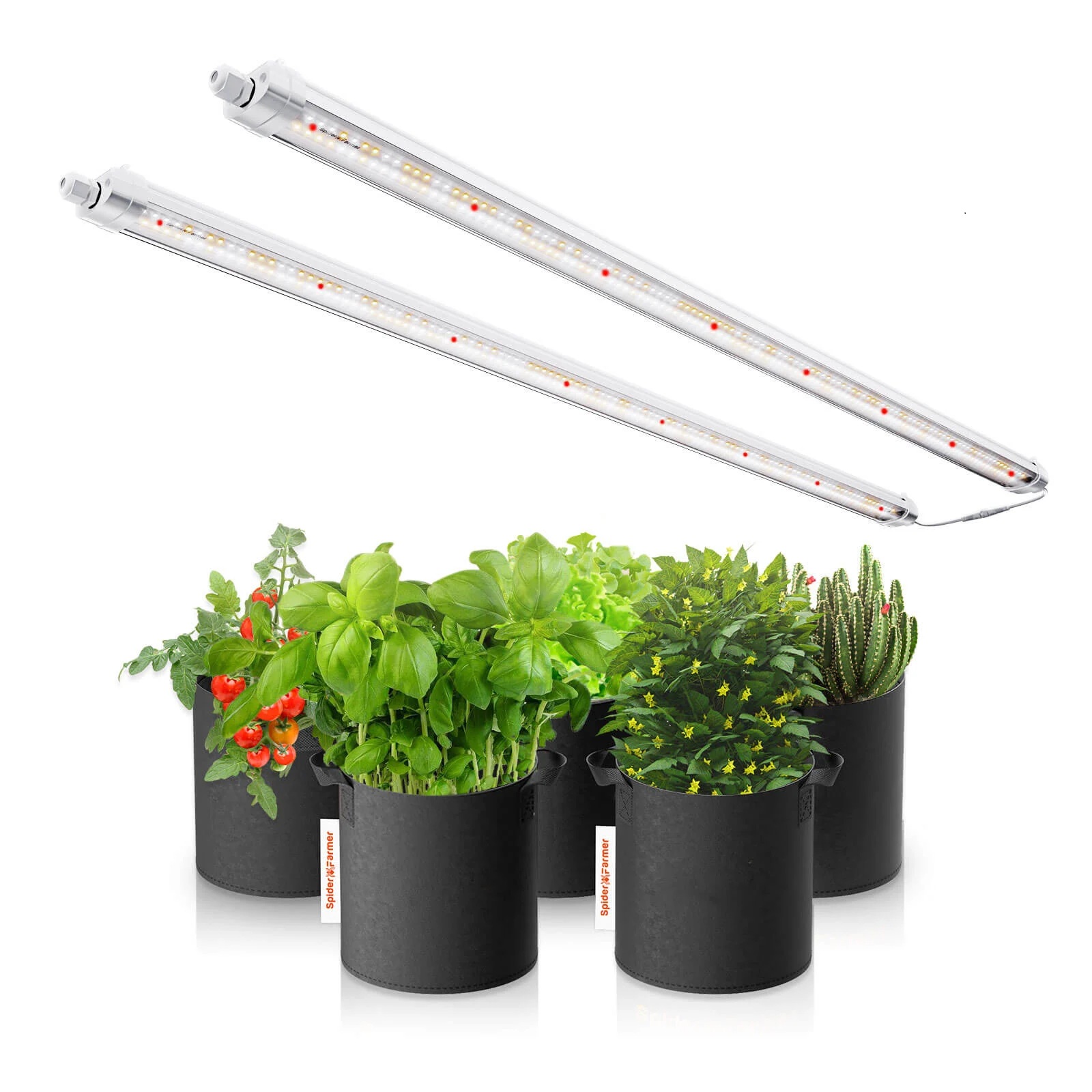 Spider Farmer Glow 80 2x Full Spectrum LED Bar