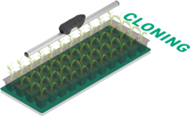 Think Grow LED Model One DR-1